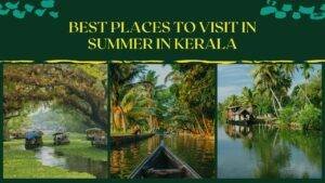 Best Places To Visit In Summer in Kerala