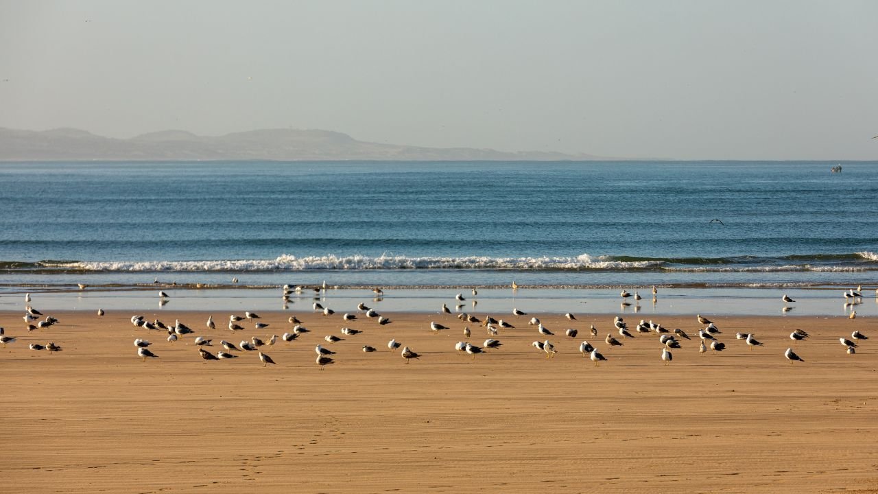 Thirchendur Tourist Place