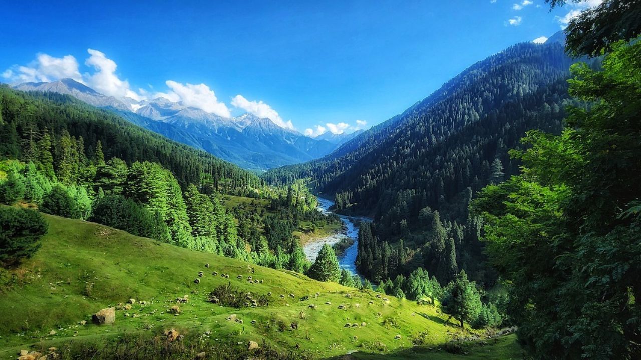 Srinagar to Pahalgam Distance Your Quick Travel Guide