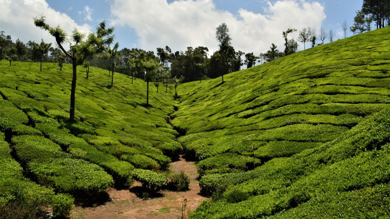 The Exact Distance Between Cochin and Munnar