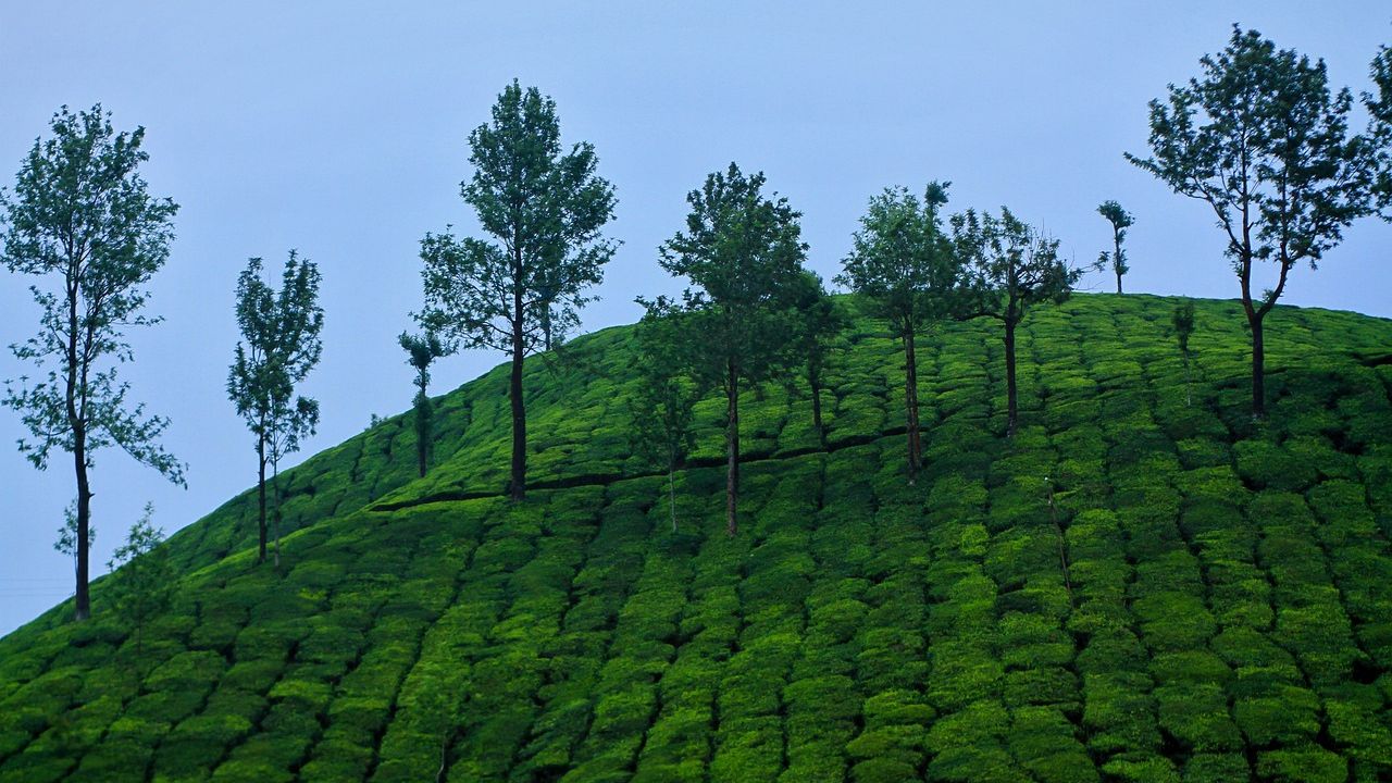 The Exact Distance Between Cochin and Munnar