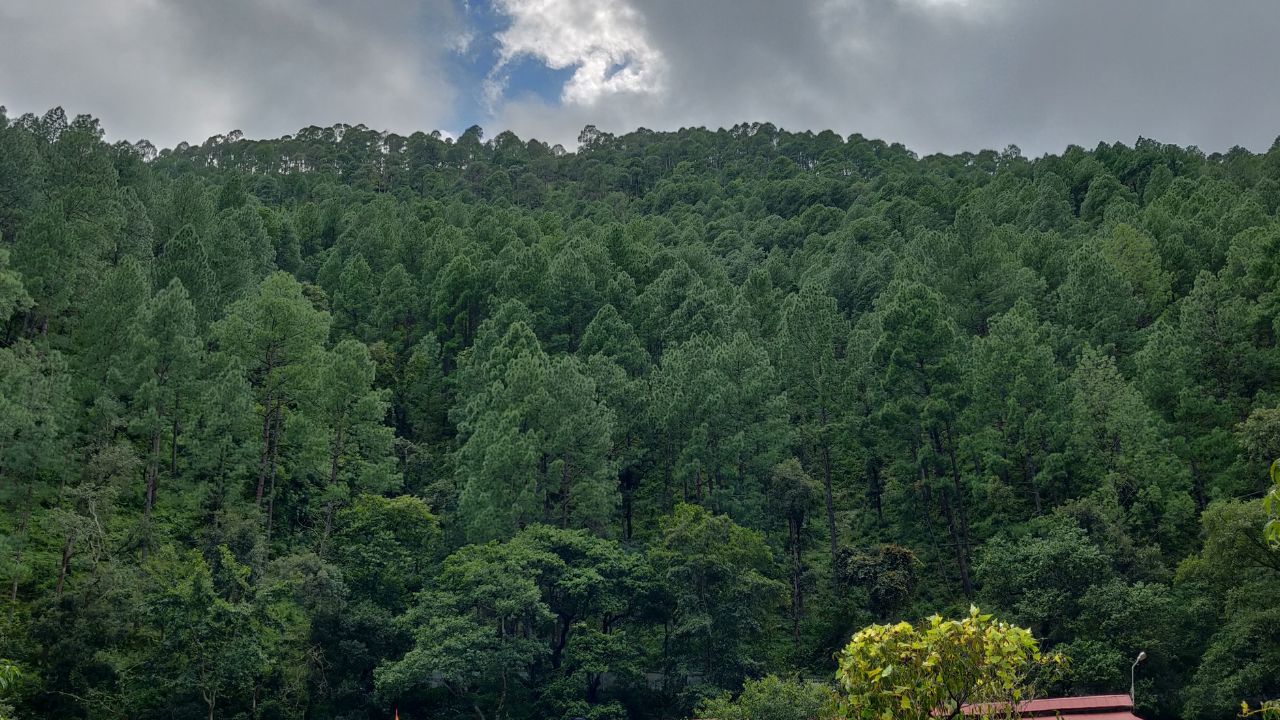 Distance from Kathgodam to Kainchi Dham