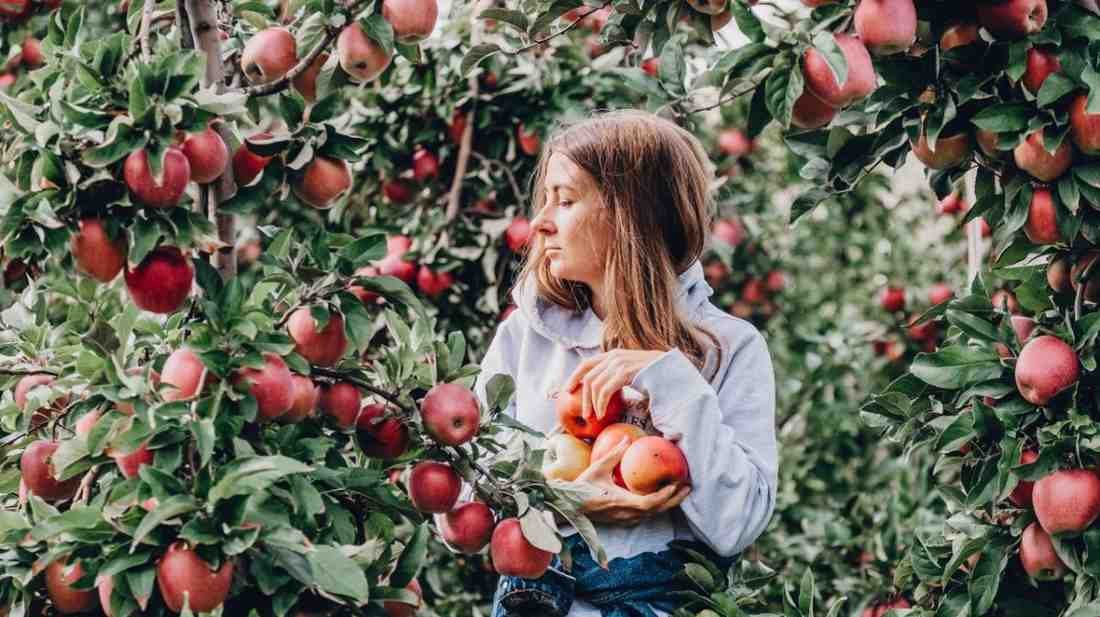Best places to visit in Connecticut in the fall