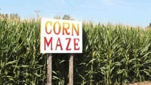 Best places to visit in Connecticut in the fall