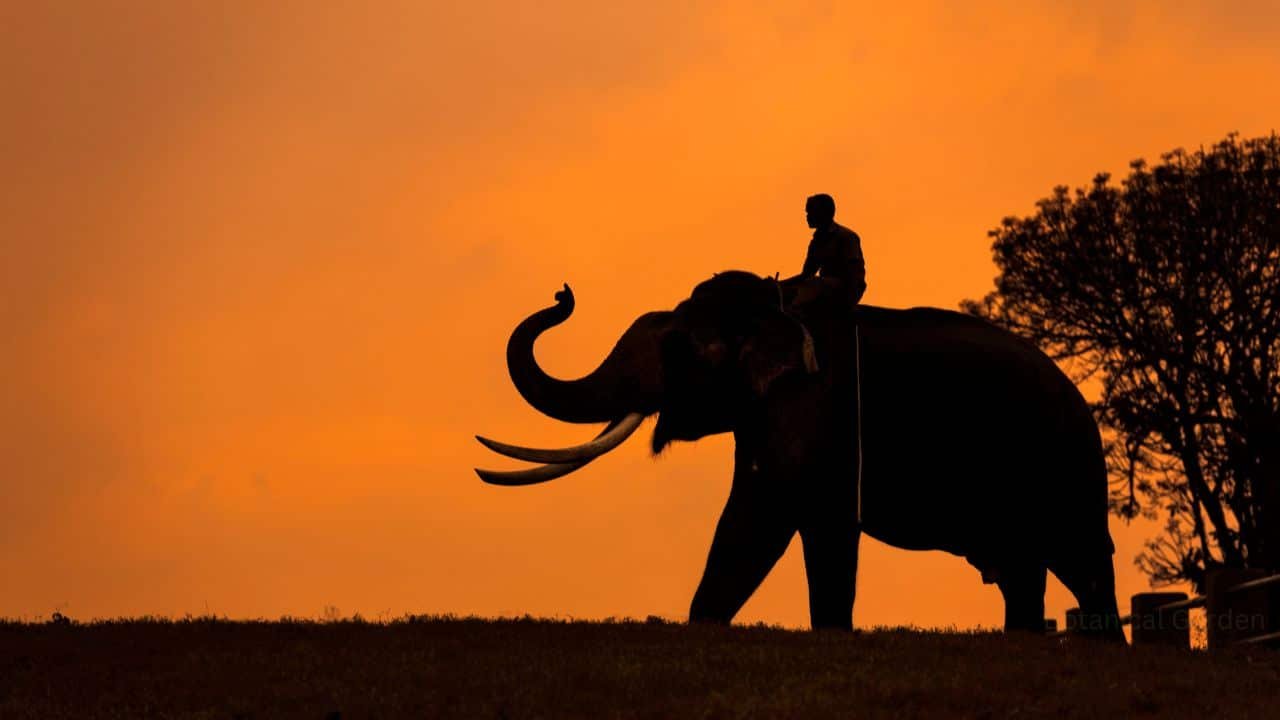 Best places to visit in Ooty for couples