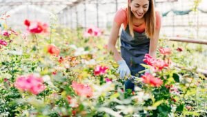 Best places to visit in Ooty for couples