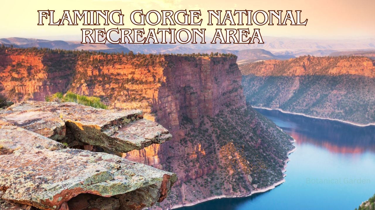Explore the Best Places to Visit in Wyoming