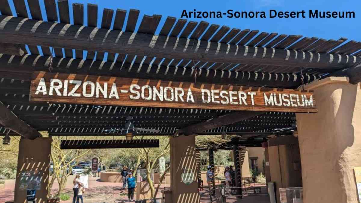 Places to visit in Arizona with family