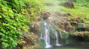 Places to visit in Arkansas with family