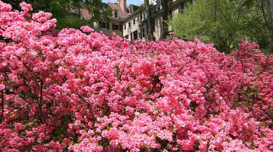 Places to visit in Delaware for couples