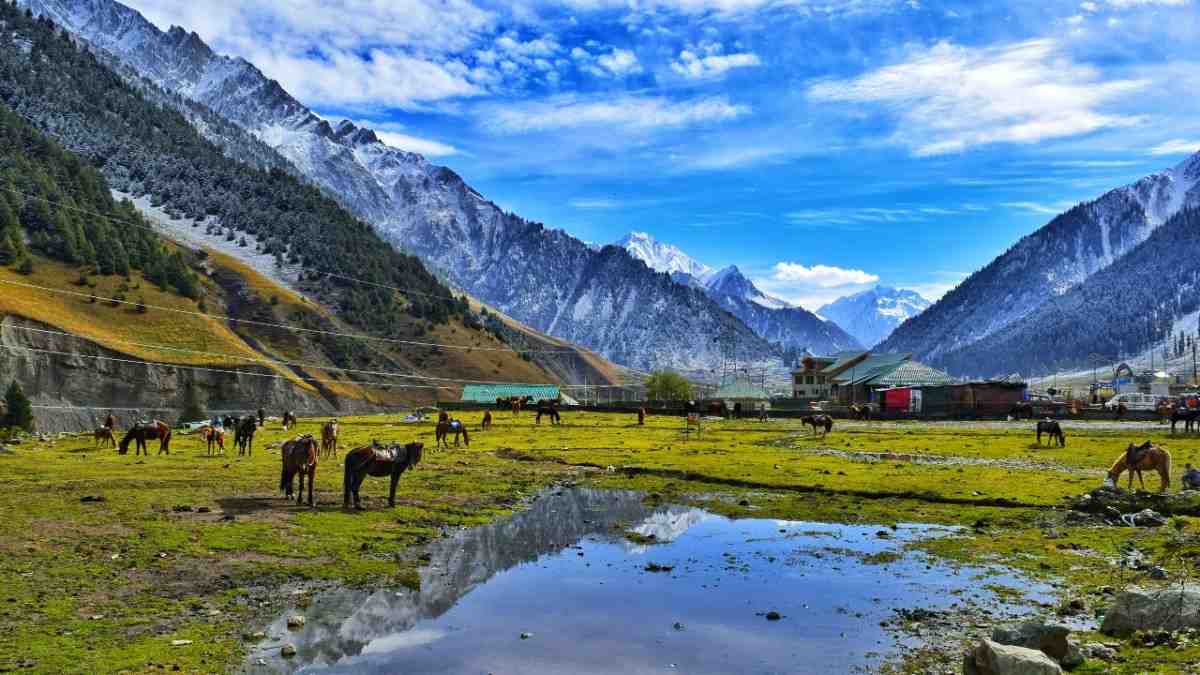 Top Activities for an Unforgettable Kashmir Family Trip