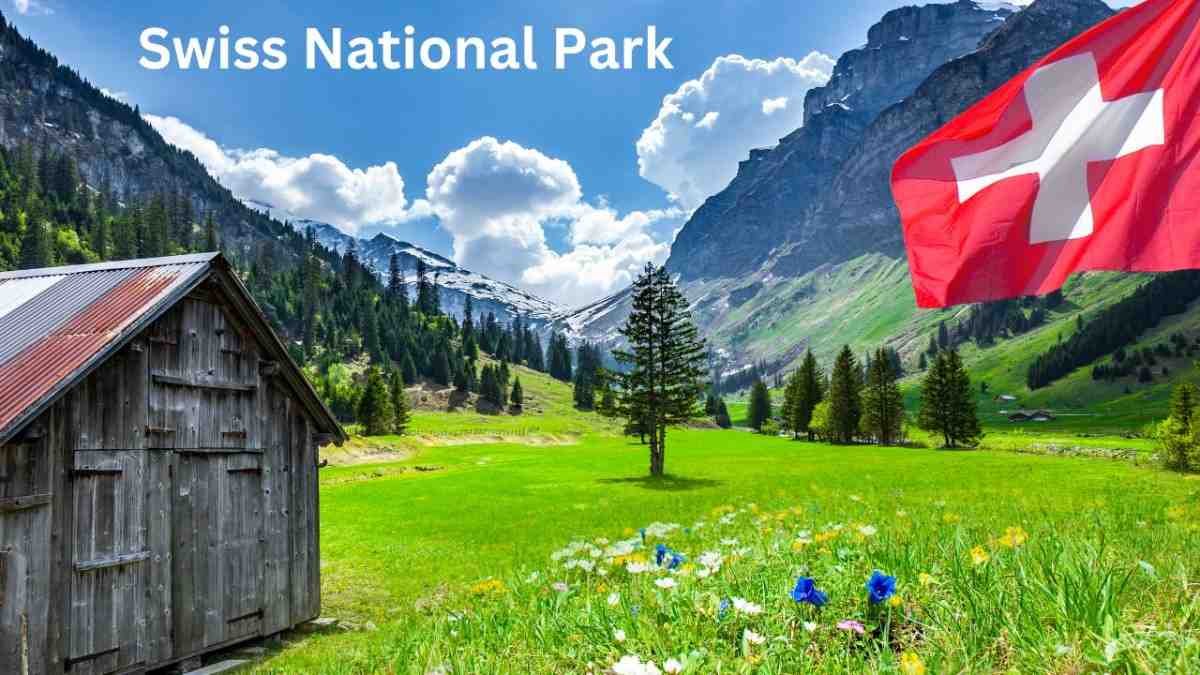 Top Cities You Can't-Miss on Your Switzerland Trip