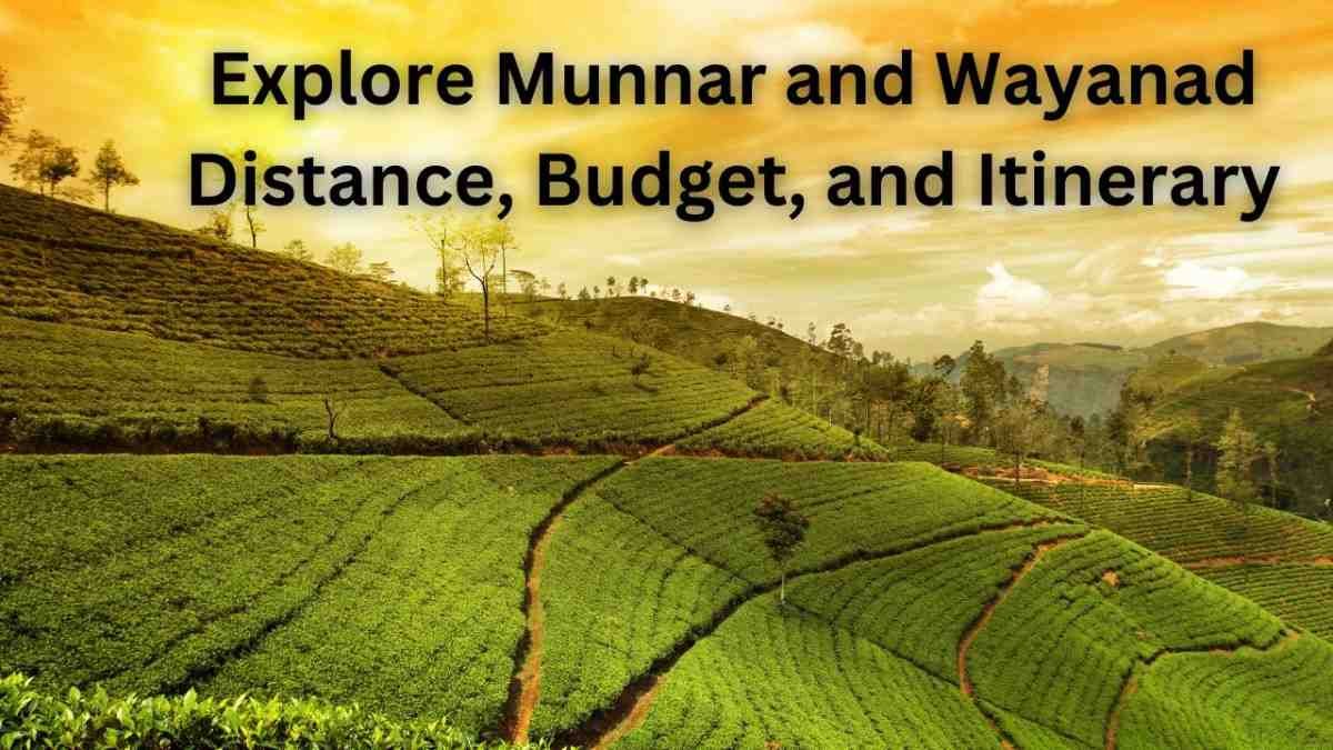 Explore Munnar and Wayanad Distance, Budget, and Itinerary