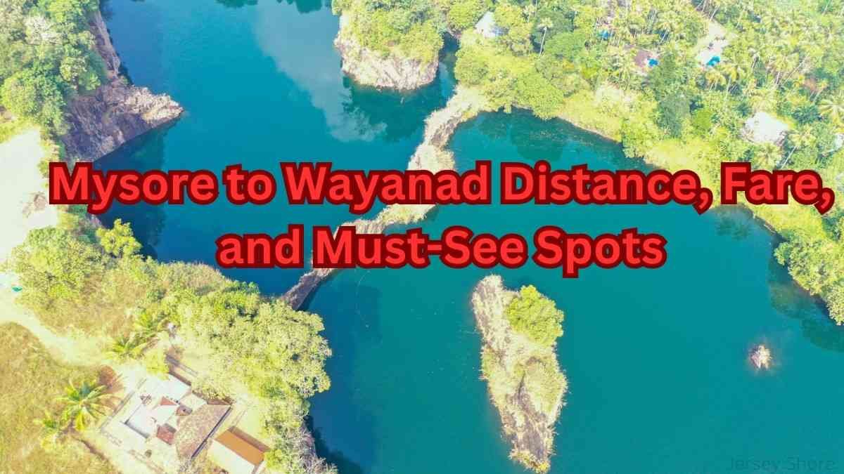 Mysore to Wayanad Distance, Fare, and Must-See Spots