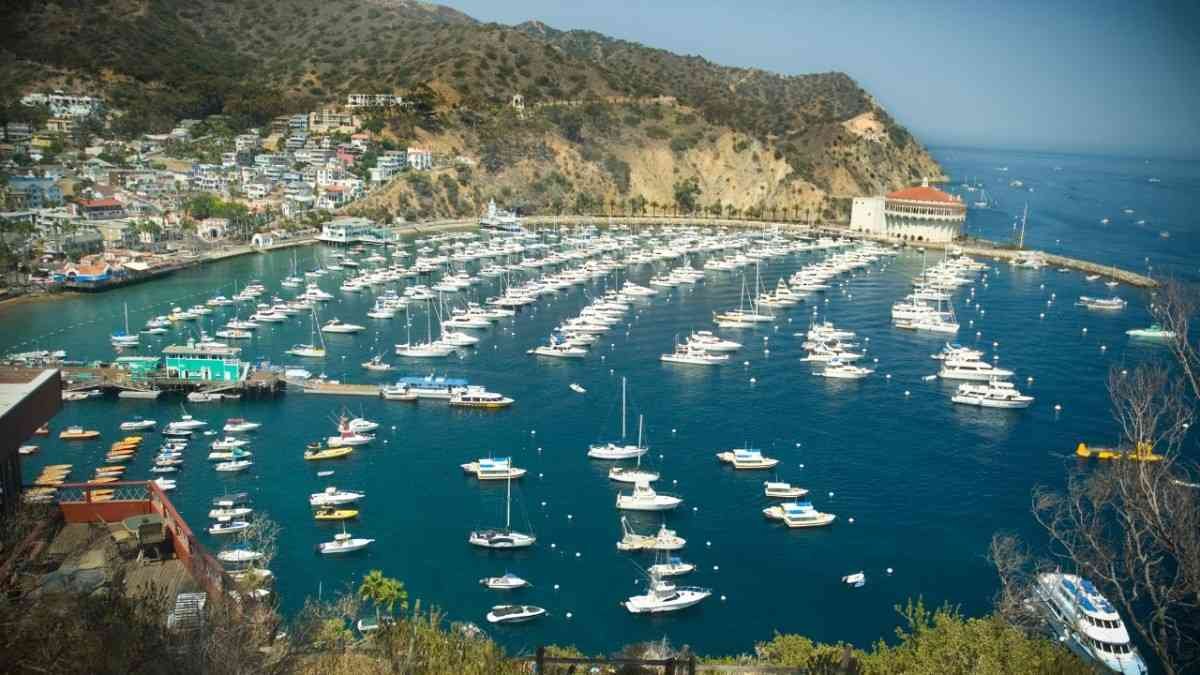 Long beach to Catalina Island distance
