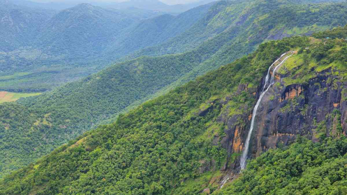 Munnar to Thekkady Distance Travel Time and Budget