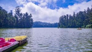 Mysore to Ooty Distance and Budget-Friendly Travel Tips