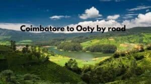 Coimbatore to Ooty by road