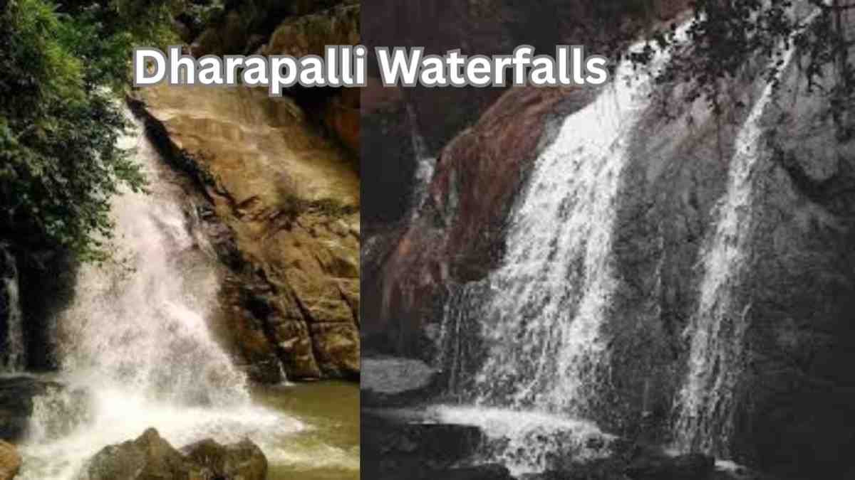 Dharapalli Waterfalls Travel Guide