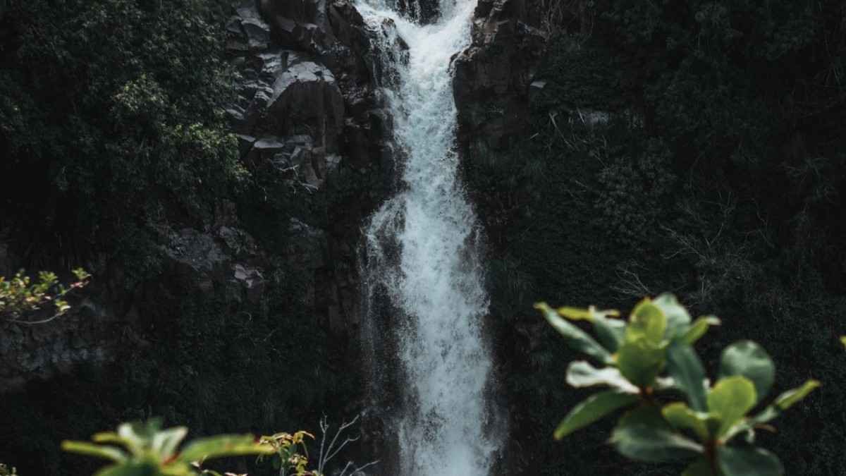 Kadavupuzha Waterfalls A Peaceful Place in Kerala