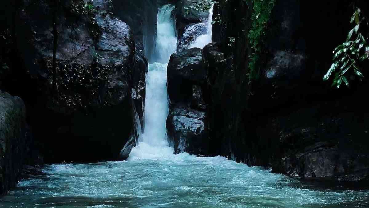 Kadavupuzha Waterfalls A Peaceful Place in Kerala