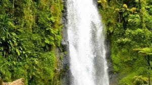 Kattikkayam Waterfalls Travel Guide