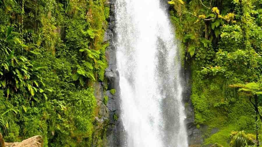 Kattikkayam Waterfalls Travel Guide