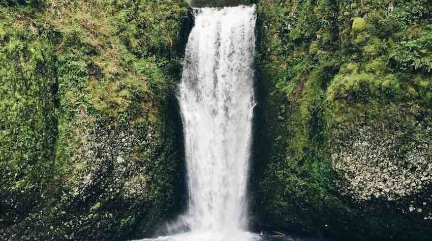 Kattikkayam Waterfalls Travel Guide