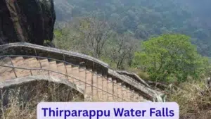 Aagaya Gangai Water Falls