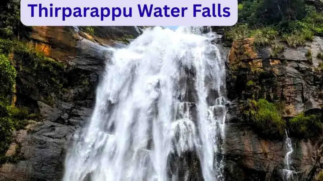 Aagaya Gangai Water Falls