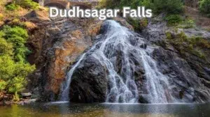 Discover the Magic of Dudhsagar Falls