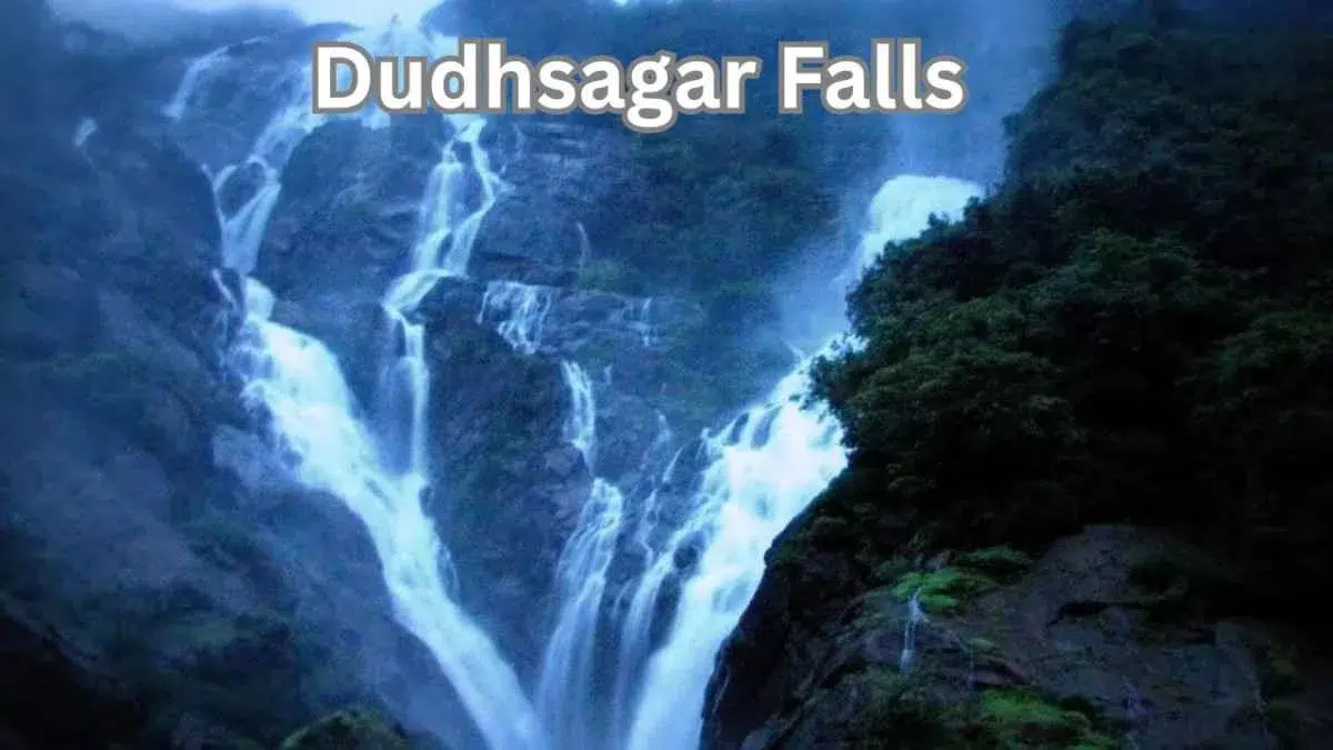 Discover the Magic of Dudhsagar Falls