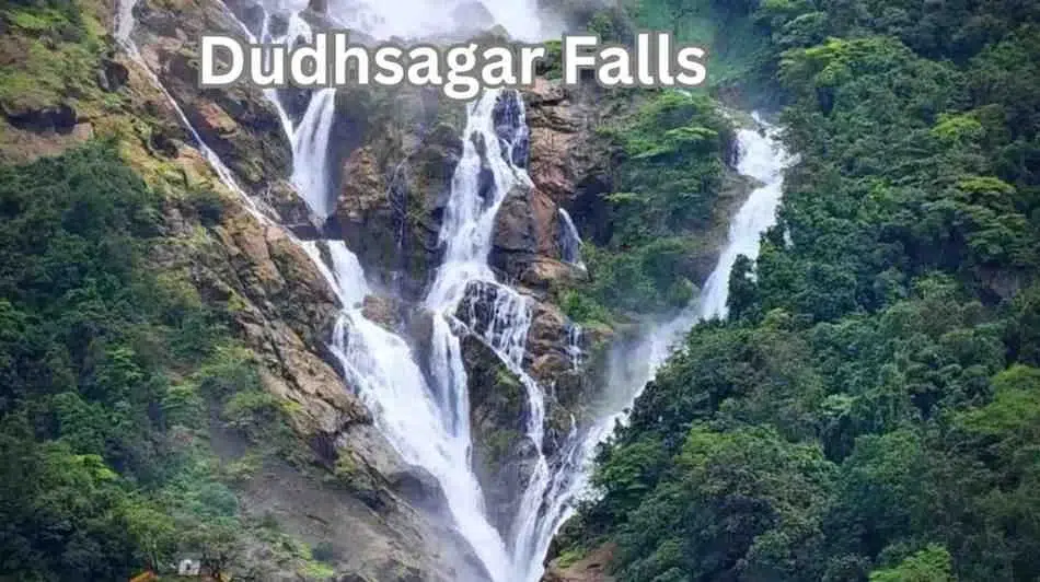 Discover the Magic of Dudhsagar Falls