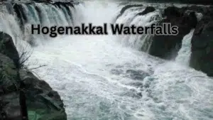 Explore Hogenakkal Waterfalls with Family and Friends