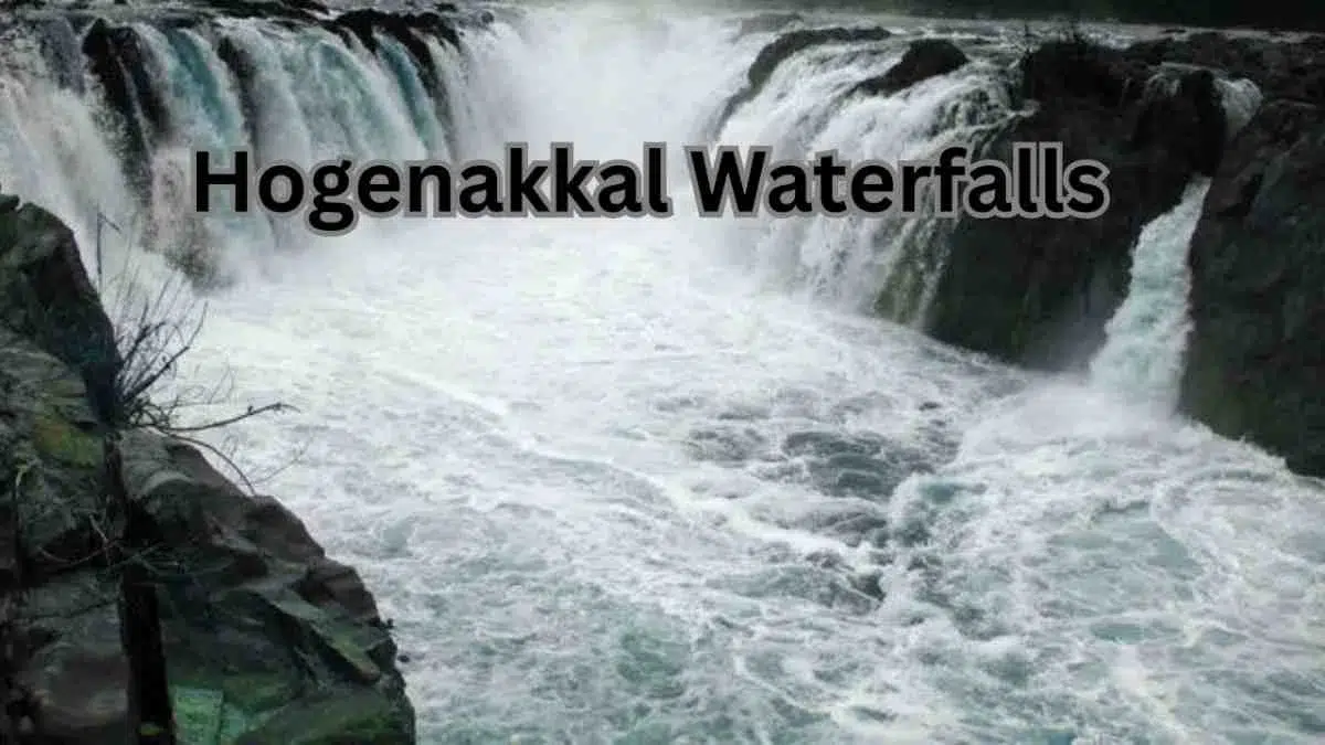 Explore Hogenakkal Waterfalls with Family and Friends