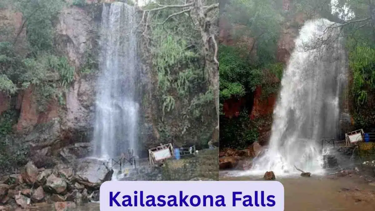 Kailasakona Falls Nature’s Beauty Near Tirupati