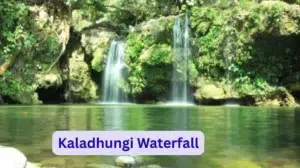 Kaladhungi Waterfall Best Place for Weekend Trips