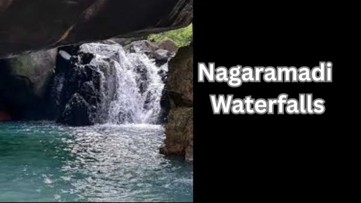 Nagaramadi Waterfalls Hidden Beauty in the Forest