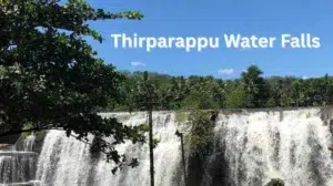 Your Easy Guide to Thirparappu Water Falls
