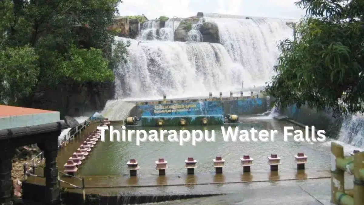 Your Easy Guide to Thirparappu Water Falls