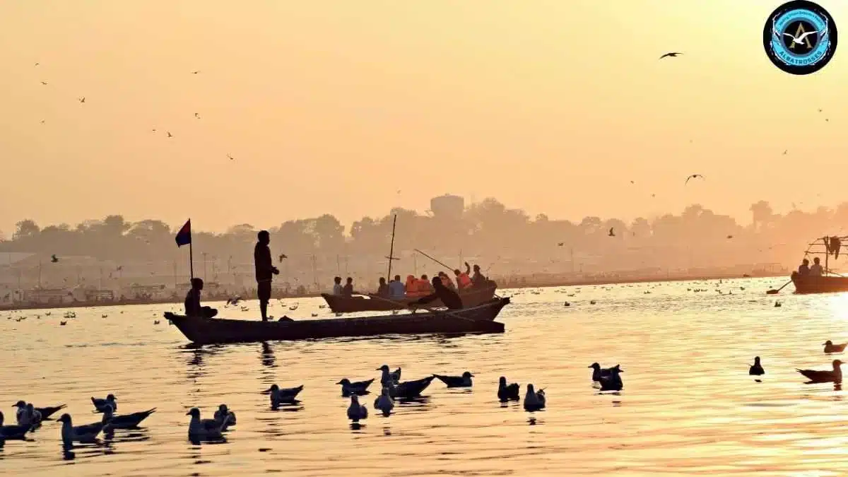 Bhopal to Prayagraj Distance, Best Routes, Travel Time, and Cost