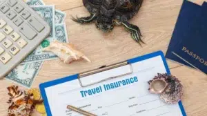 Travel Insurance for Dubai